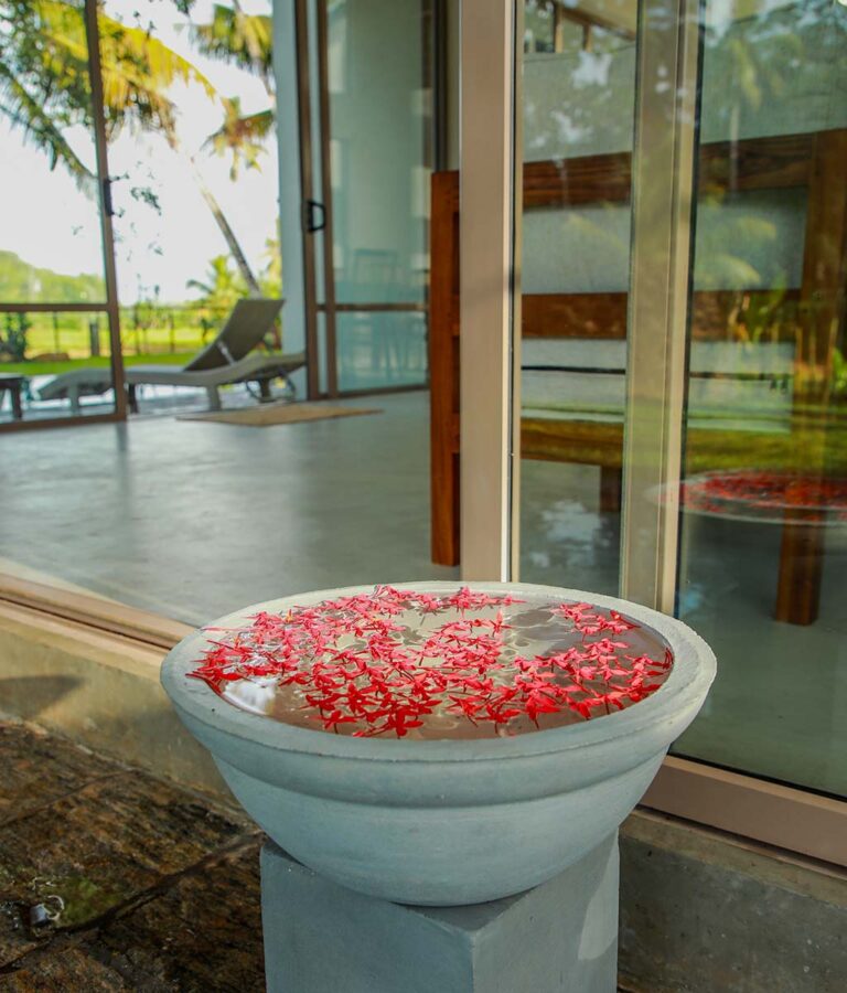 Flower petals floating in a cement tub