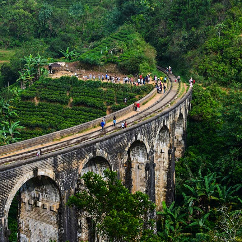 Nine arches bridge Demodara