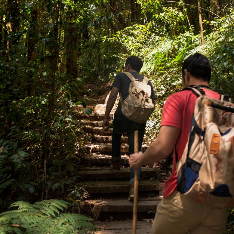 Two guests hiking in a forest area