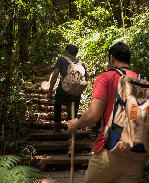 Two guests hiking in the jungle