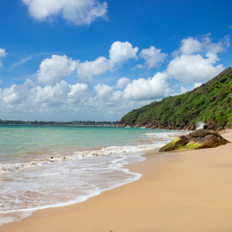 Scenic view of jungle beach Unawatuna