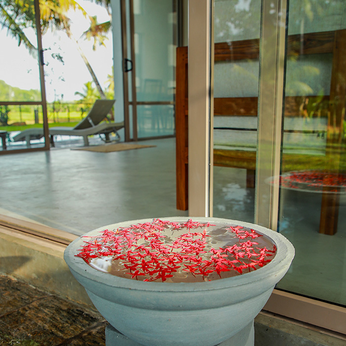 Flowers floating in a concrete bowl filled with water