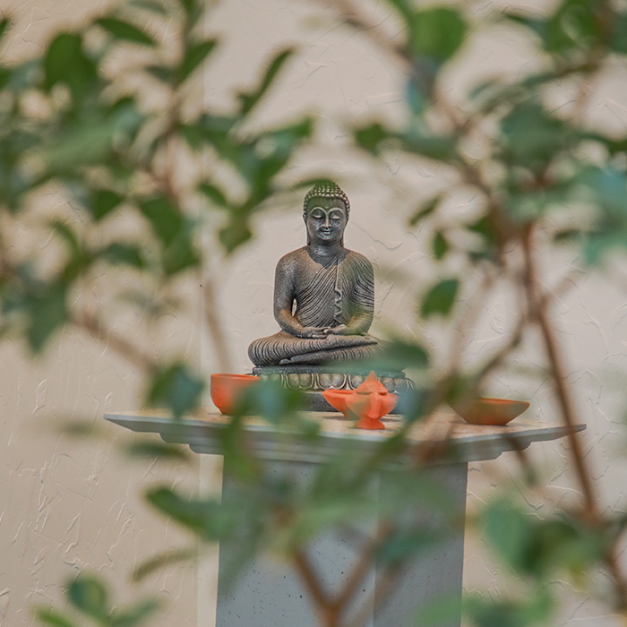 Statue of Buddha in the background